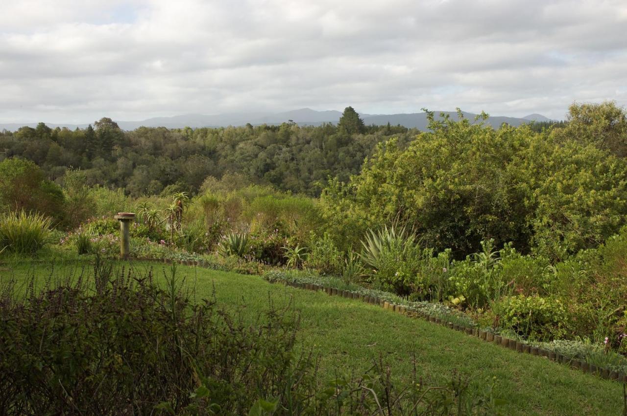 Forest Hills Knysna Buitenkant foto